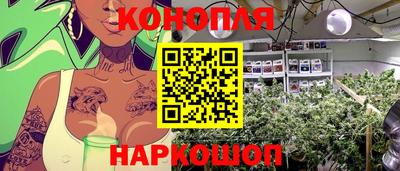 стаф Долгопрудный